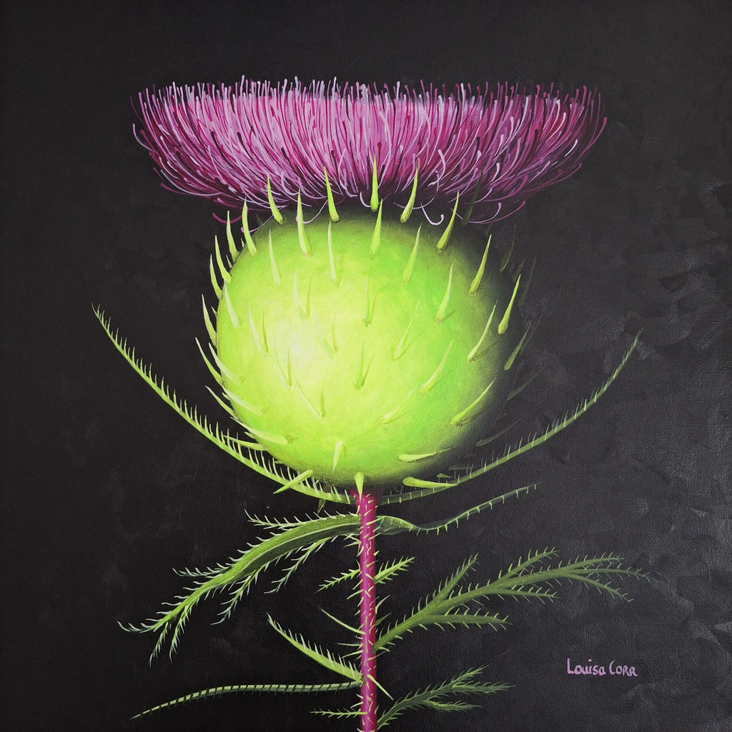Flower thistle with pink top and green body on a black background. modern, louisa corr