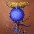 Colorful thistle flower with blue body and yellow top on a brown background