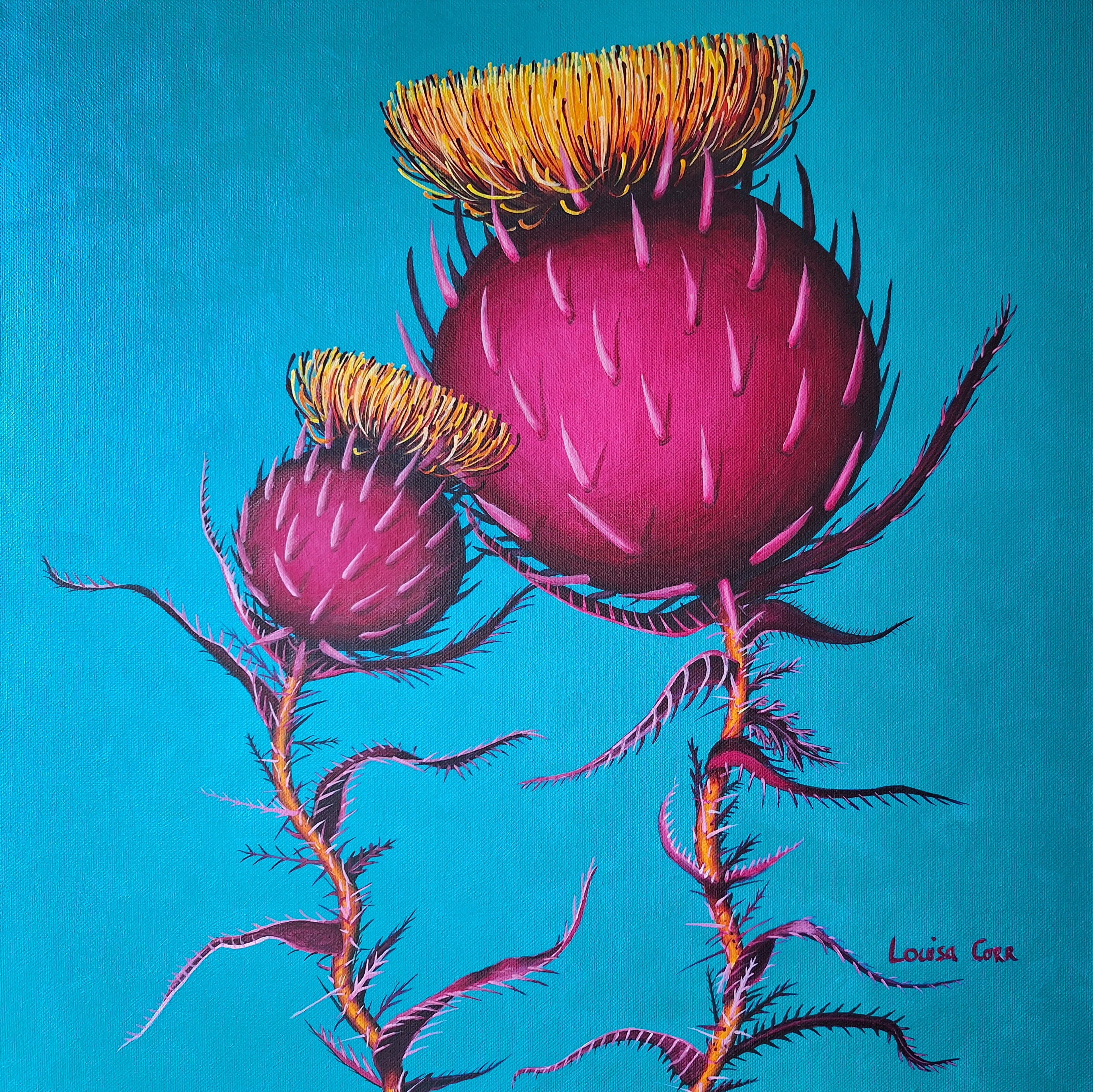 Artistic depiction of pink thistles with yellow centers on a blue background