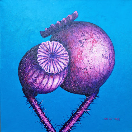 Purple and pink shell-like objects on a blue background