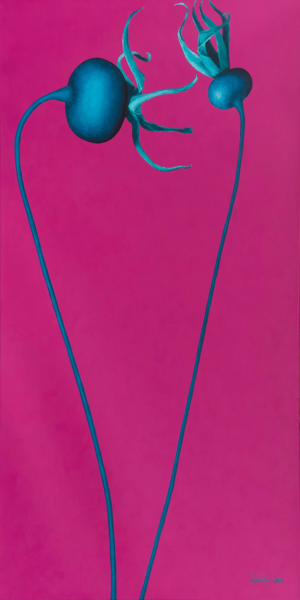 Two blue flowers with green stems on a pink background