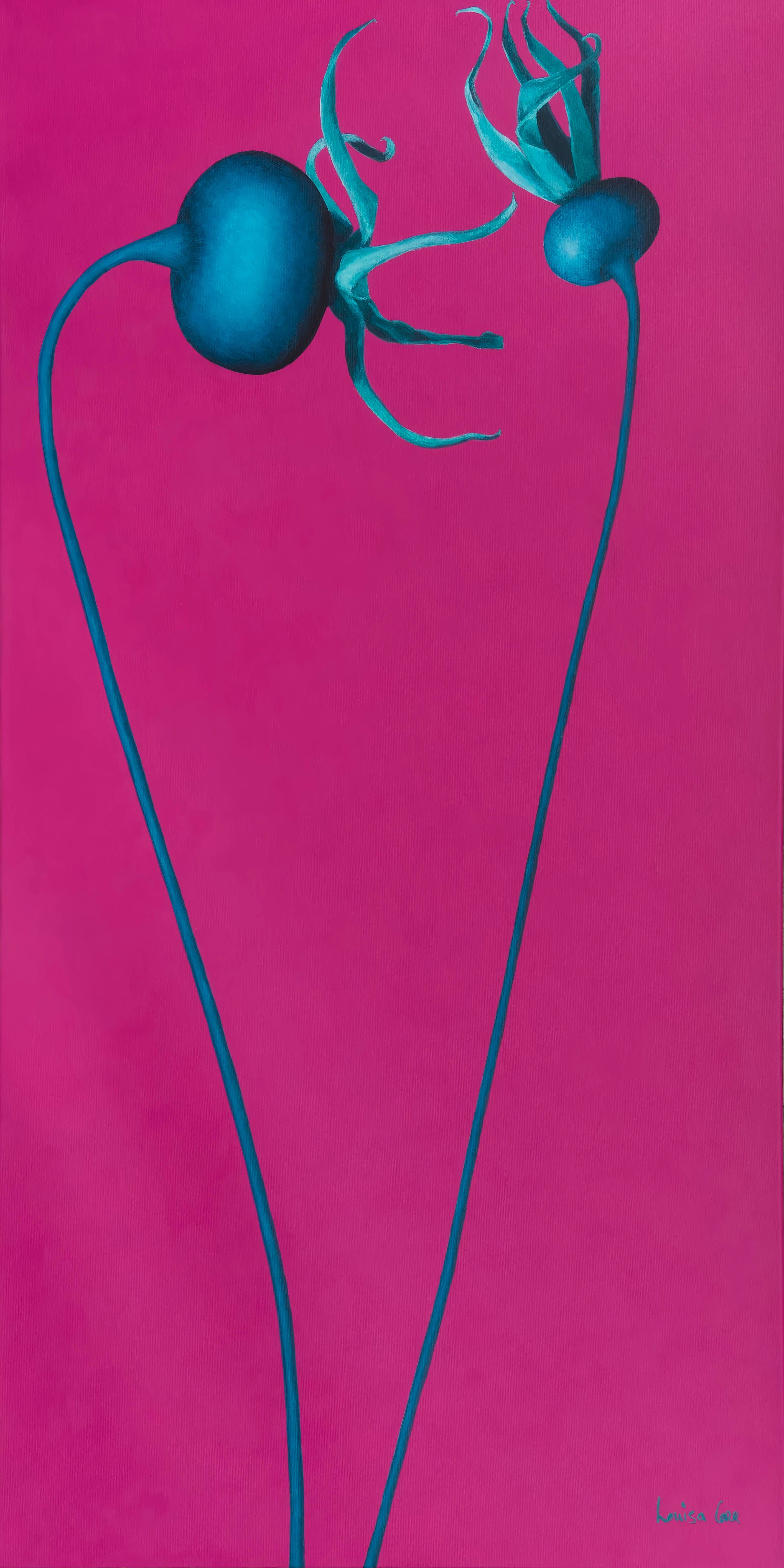 Two blue flowers with green stems on a pink background