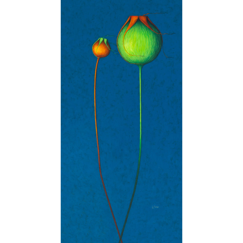 Two stylized flowers, one green and one orange, on a blue background Contemporary poppy botanical print, bold summer floral artwork