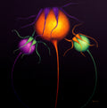 Colorful abstract art of flowers on a dark background, Louisa Corr UK Artist